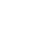 Diverse, inclusive, global team